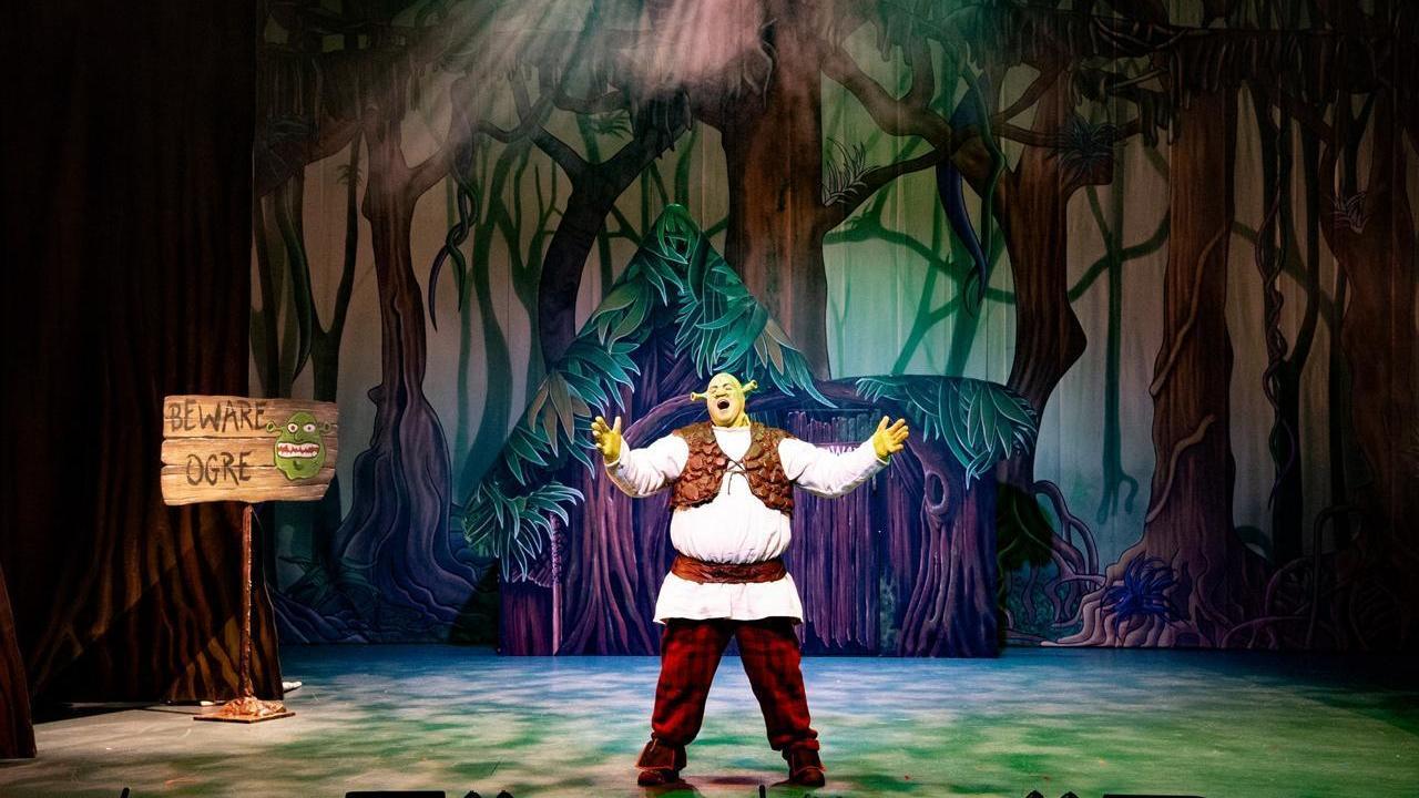 Shrek the Musical, man standing in the middle of a stage dressed as Shrek singing 
